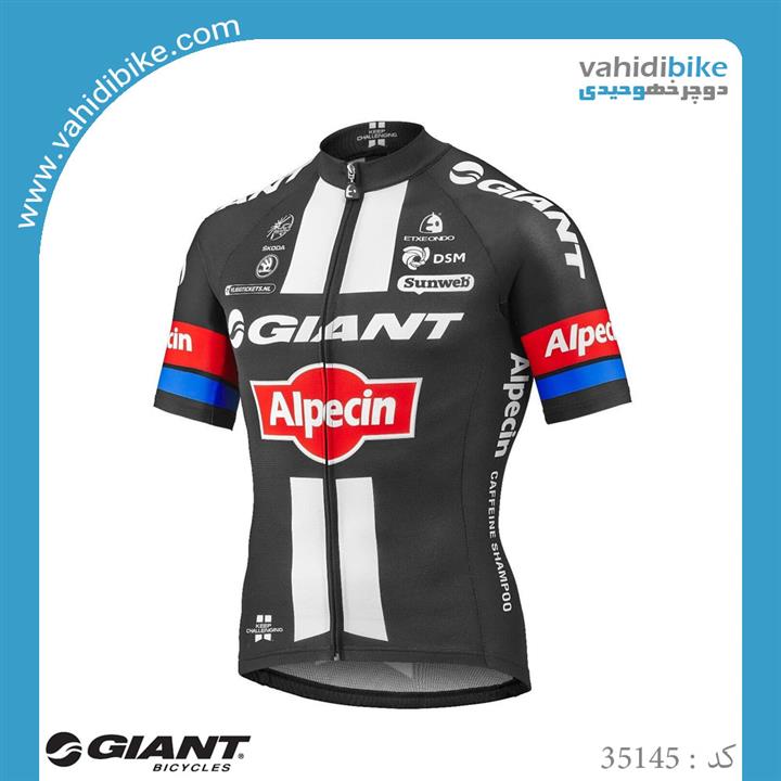 لباس دوچرخه سواری جاینت آلپسین_مدل Alpecin SS team jersey